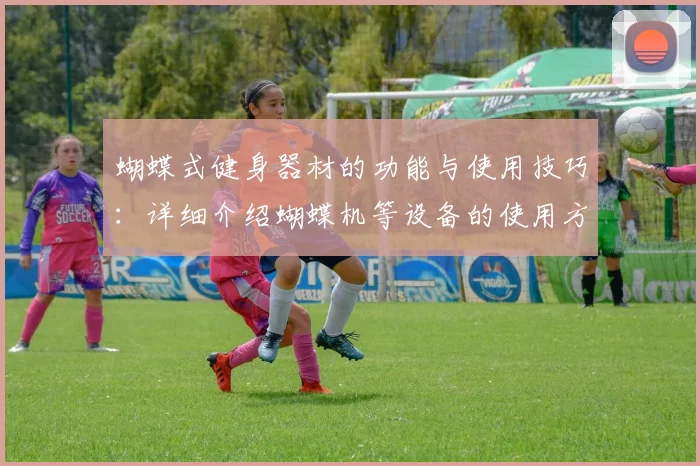 蝴蝶式健身器材的功能与使用技巧：详细介绍蝴蝶机等设备的使用方法与效果