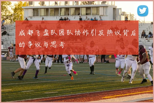 成都飞盘队团队协作引发热议背后的争议与思考